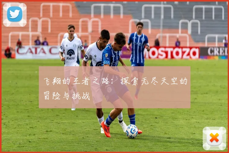 飞翔的王者之路：探索无尽天空的冒险与挑战