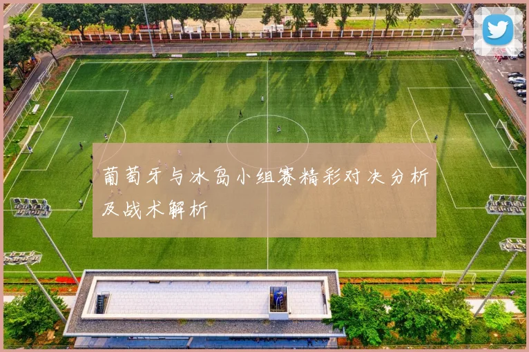 葡萄牙与冰岛小组赛精彩对决分析及战术解析